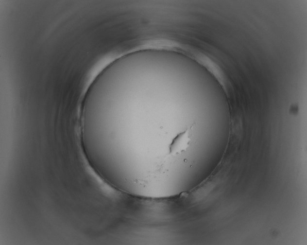 X0000093091103200710101512