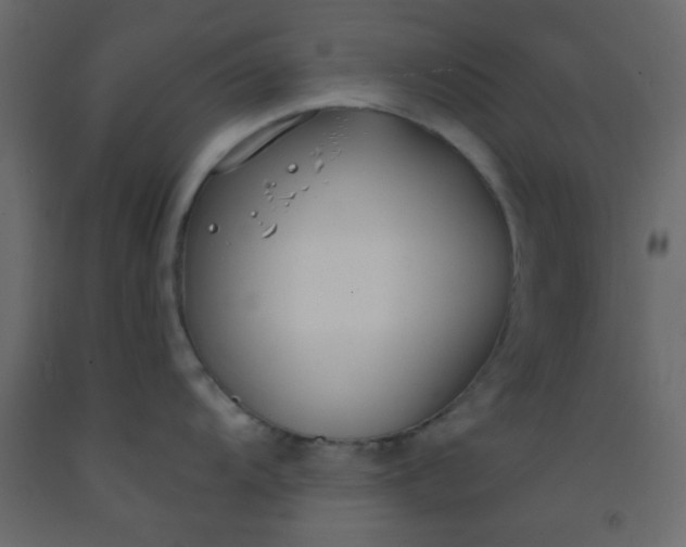 X0000093091104200710101512