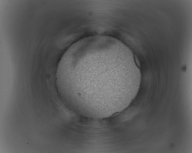 X0000093091105200710101511