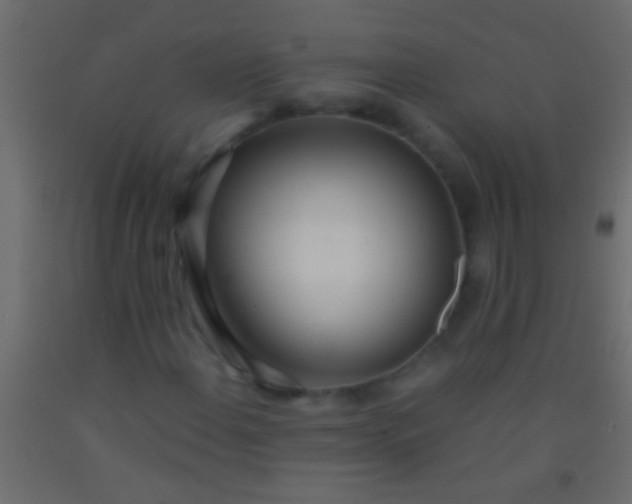 X0000093091108200710101511