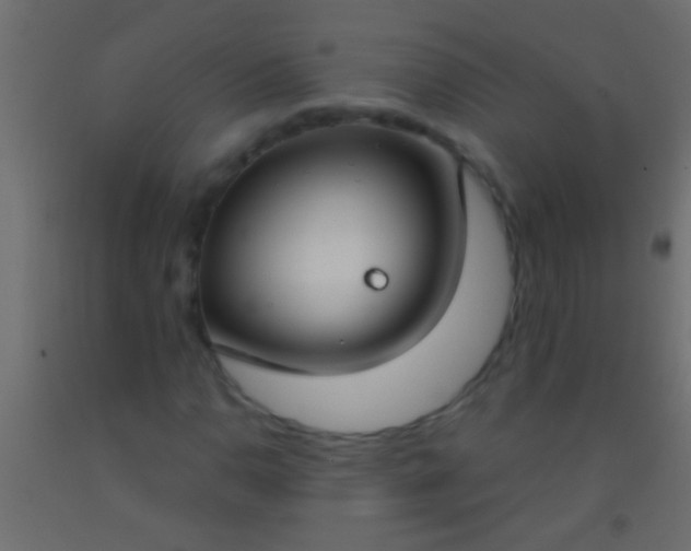 X0000093091110200710101511