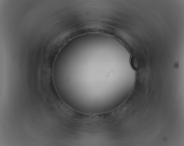 X0000093091111200710101511