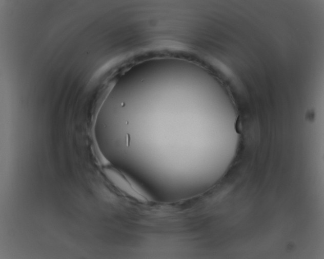 X0000093091112200710101511