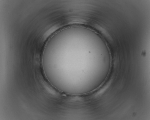 X0000093091113200710101511