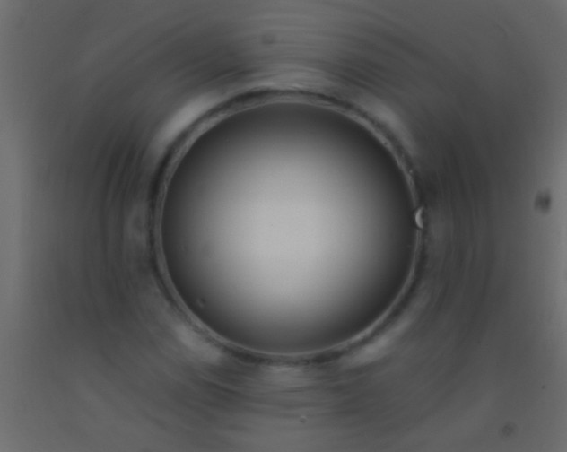 X0000093091114200710101511