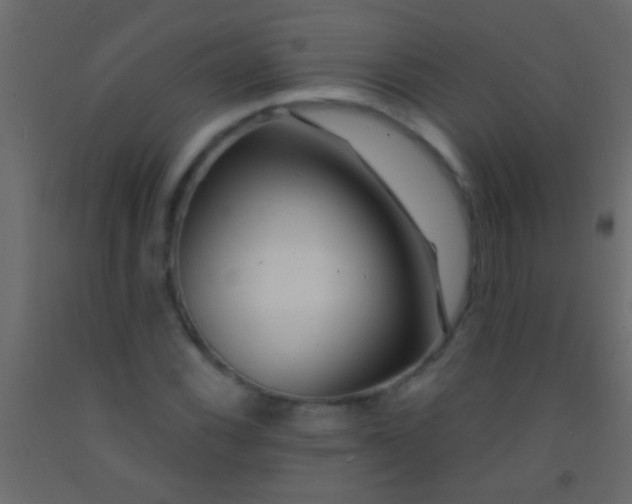 X0000093091116200710101511