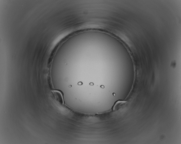 X0000093091119200710101511