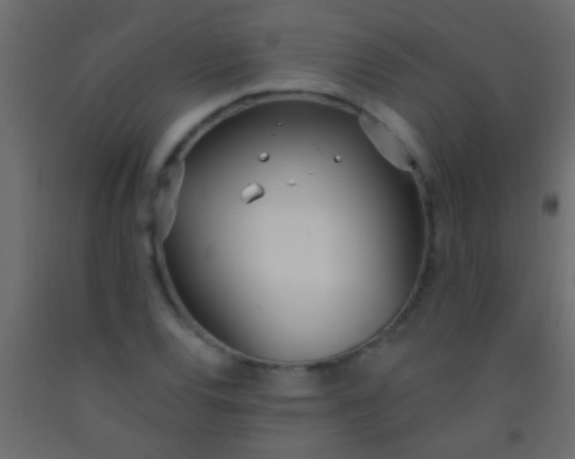 X0000093091120200710101511