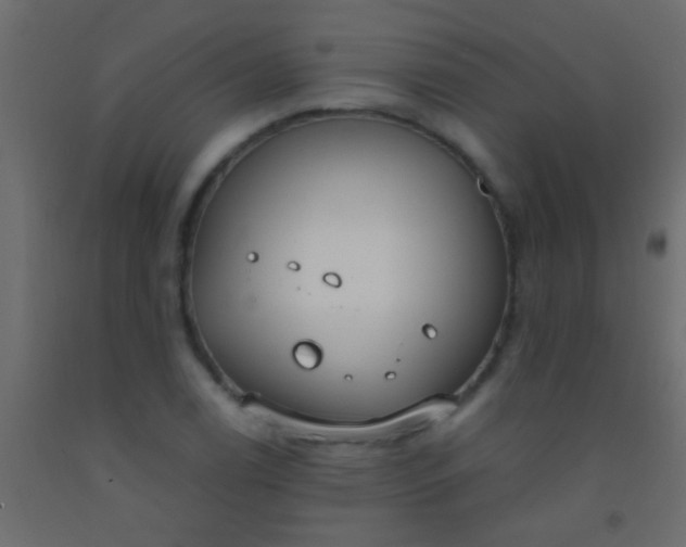 X0000093091122200710101511