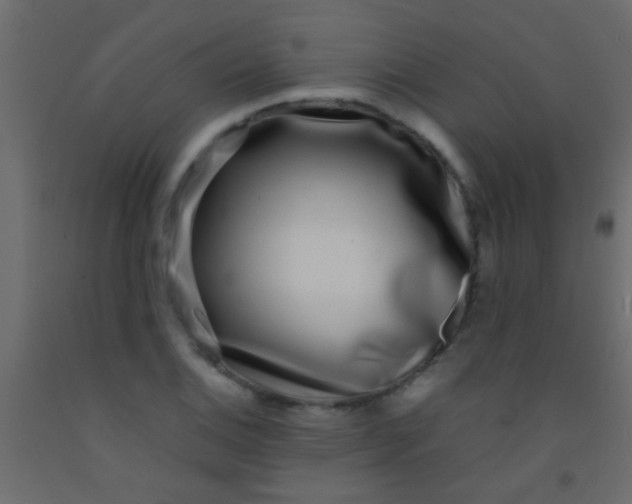 X0000093091124200710101511