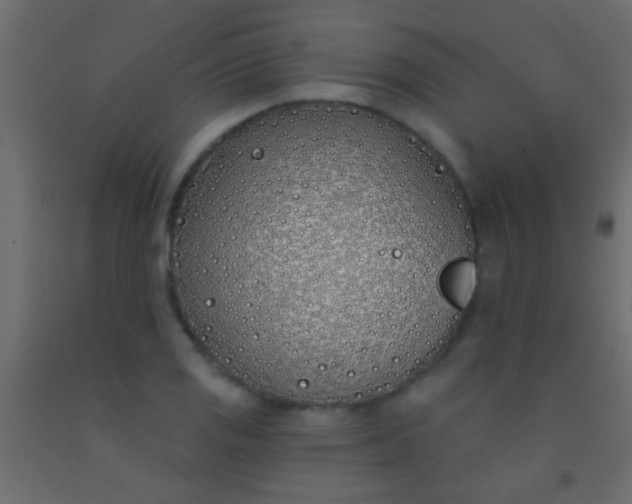 X0000093091125200710101511