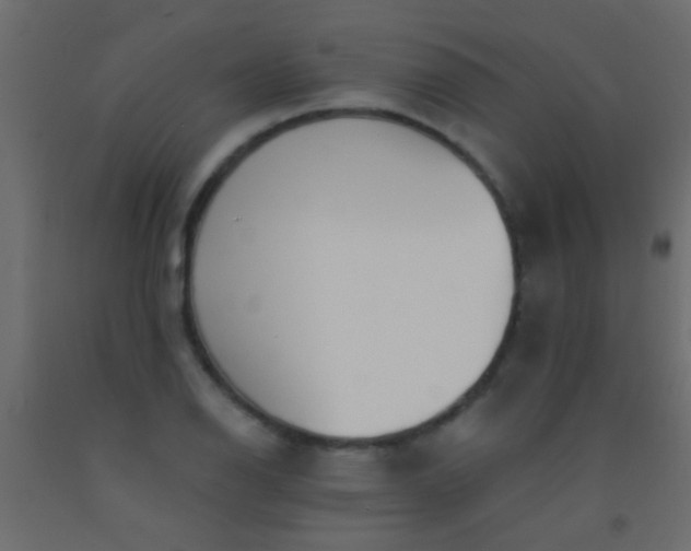 X0000093091126200710101511