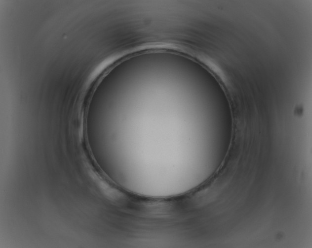 X0000093091127200710101511