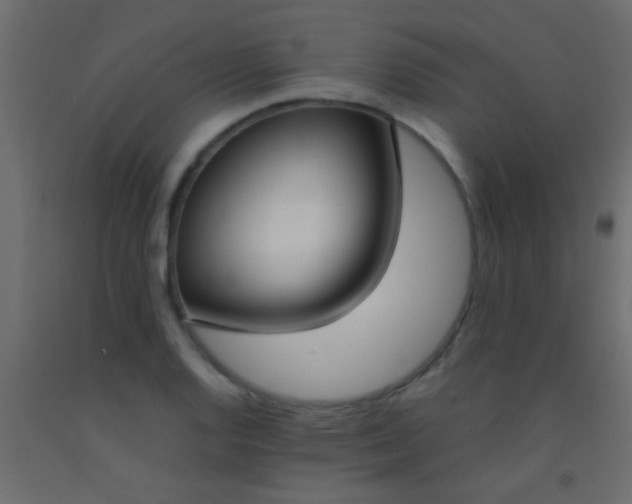 X0000093091128200710101511