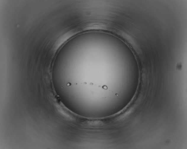 X0000093091129200710101511