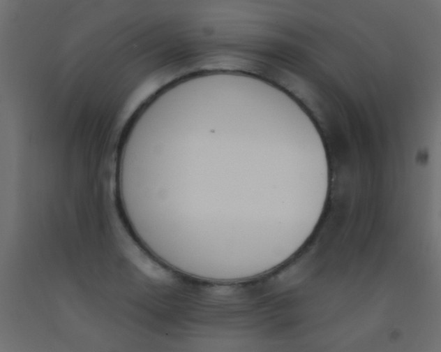 X0000093091130200710101512