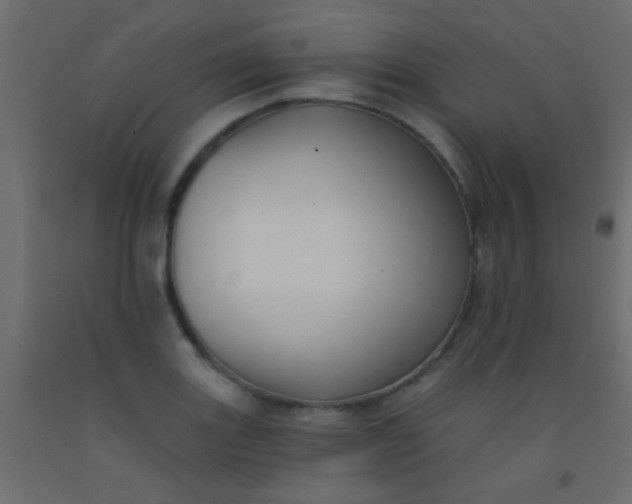 X0000093091131200710101512