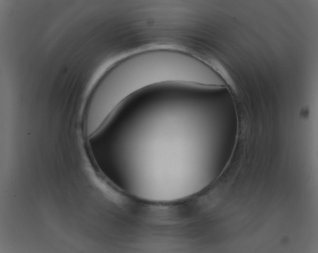 X0000093091132200710101512