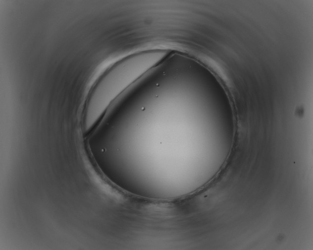 X0000093091133200710101512