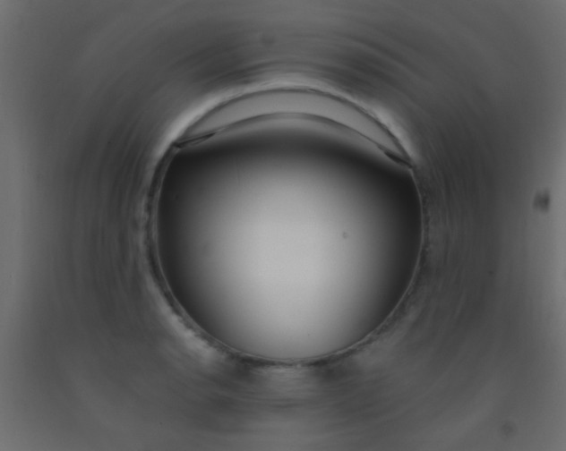 X0000093091134200710101512