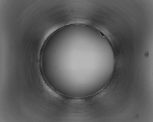 X0000093091135200710101512