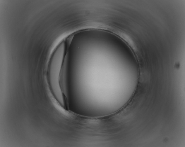 X0000093091136200710101512