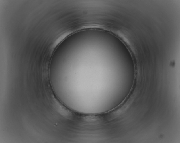 X0000093091137200710101512