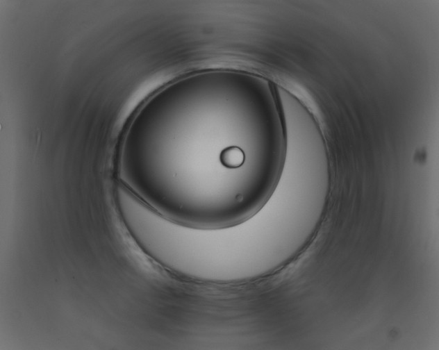 X0000093091138200710101512