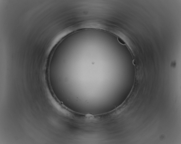 X0000093091139200710101512