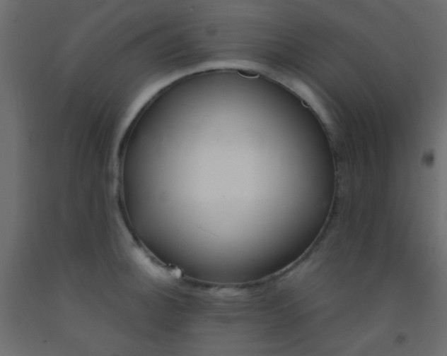 X0000093091140200710101512