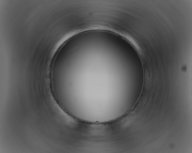 X0000093091142200710101512