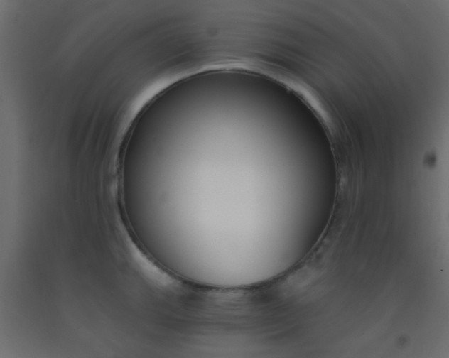 X0000093091143200710101512