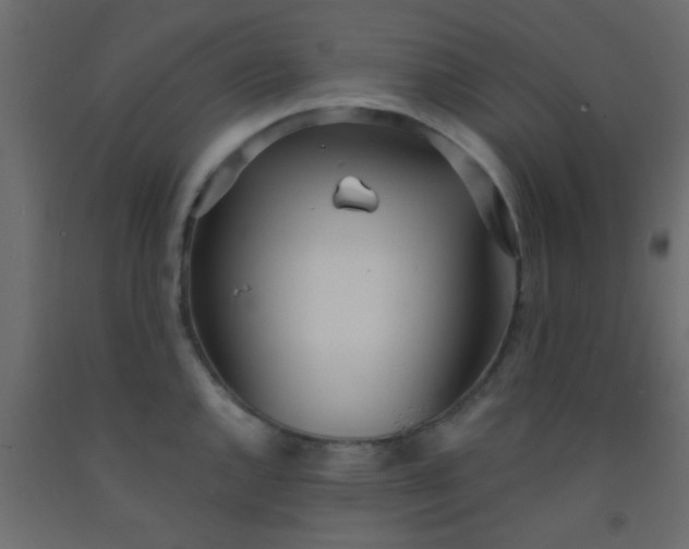 X0000093091144200710101512