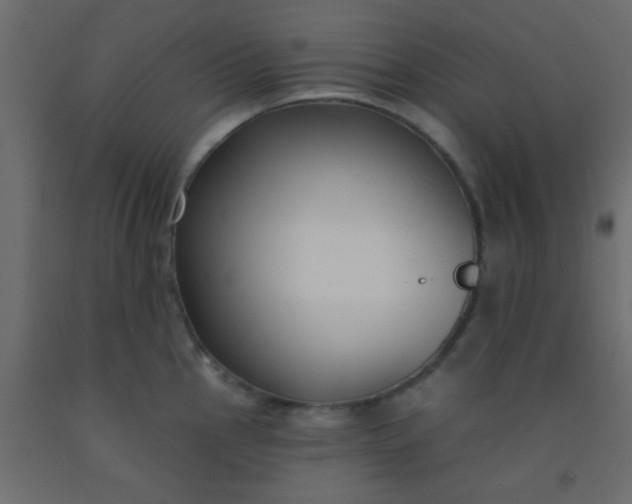 X0000093091145200710101512