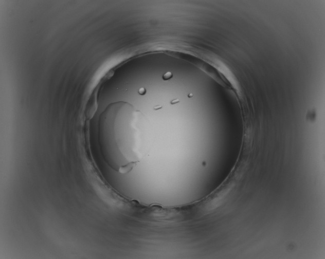 X0000093091146200710101512