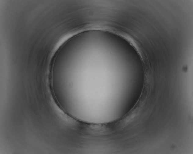 X0000093091147200710101512