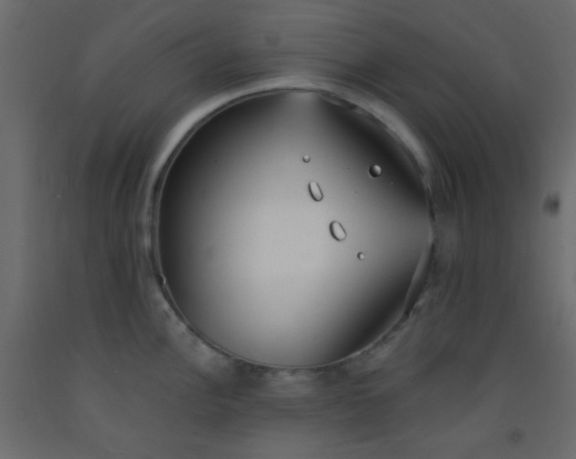 X0000093091148200710101512