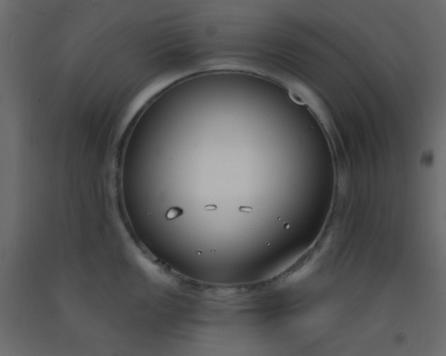 X0000093091149200710101512