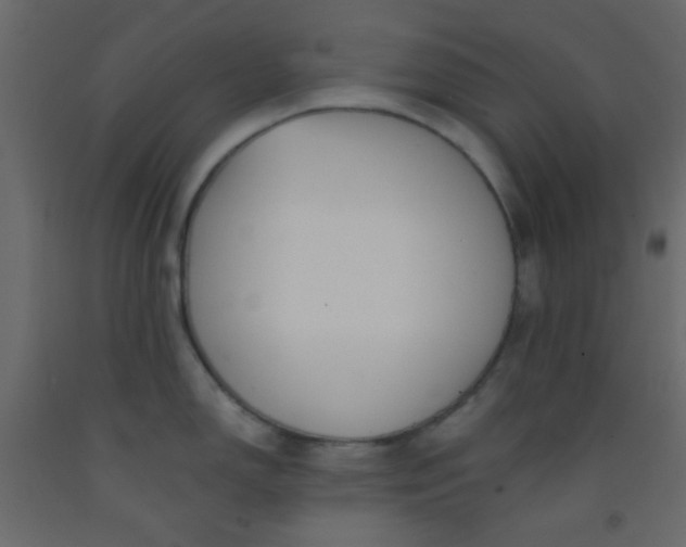 X0000093091150200710101512