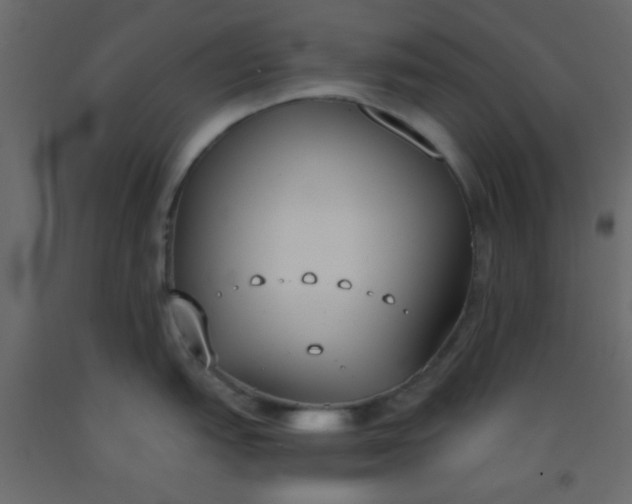 X0000093091151200710101512