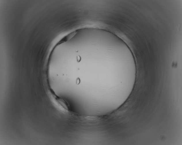 X0000093091152200710101512