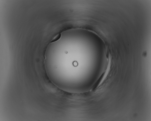 X0000093091153200710101511