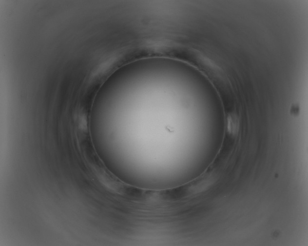 X0000093091155200710101511