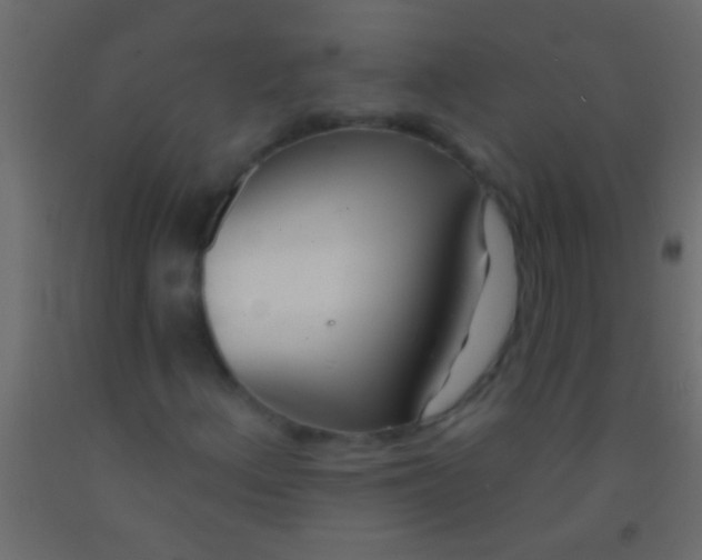 X0000093091156200710101511