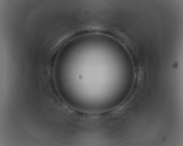 X0000093091157200710101511