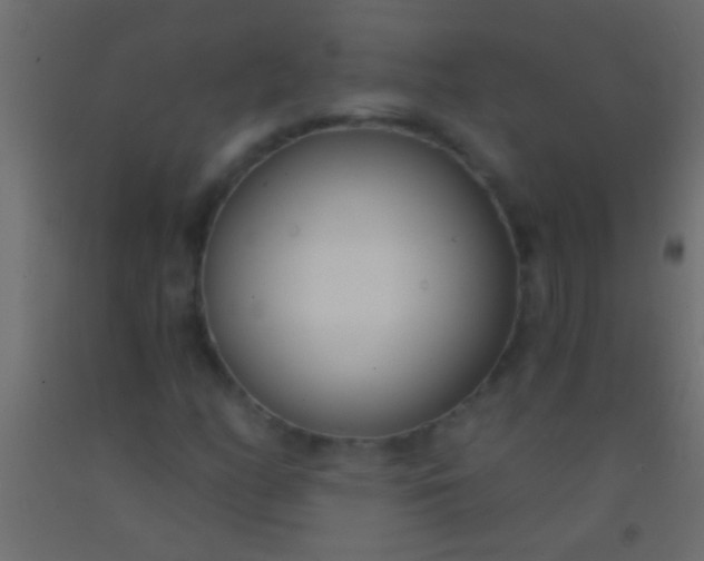 X0000093091158200710101511