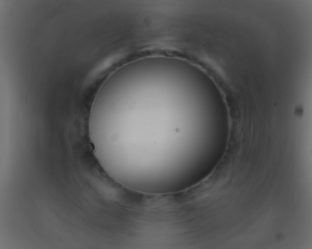 X0000093091159200710101511