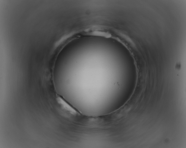 X0000093091160200710101511