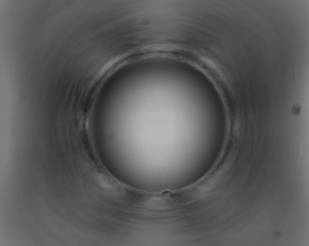 X0000093091161200710101511