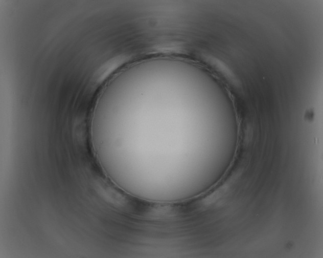 X0000093091162200710101511